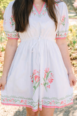 Paisley | Botanica